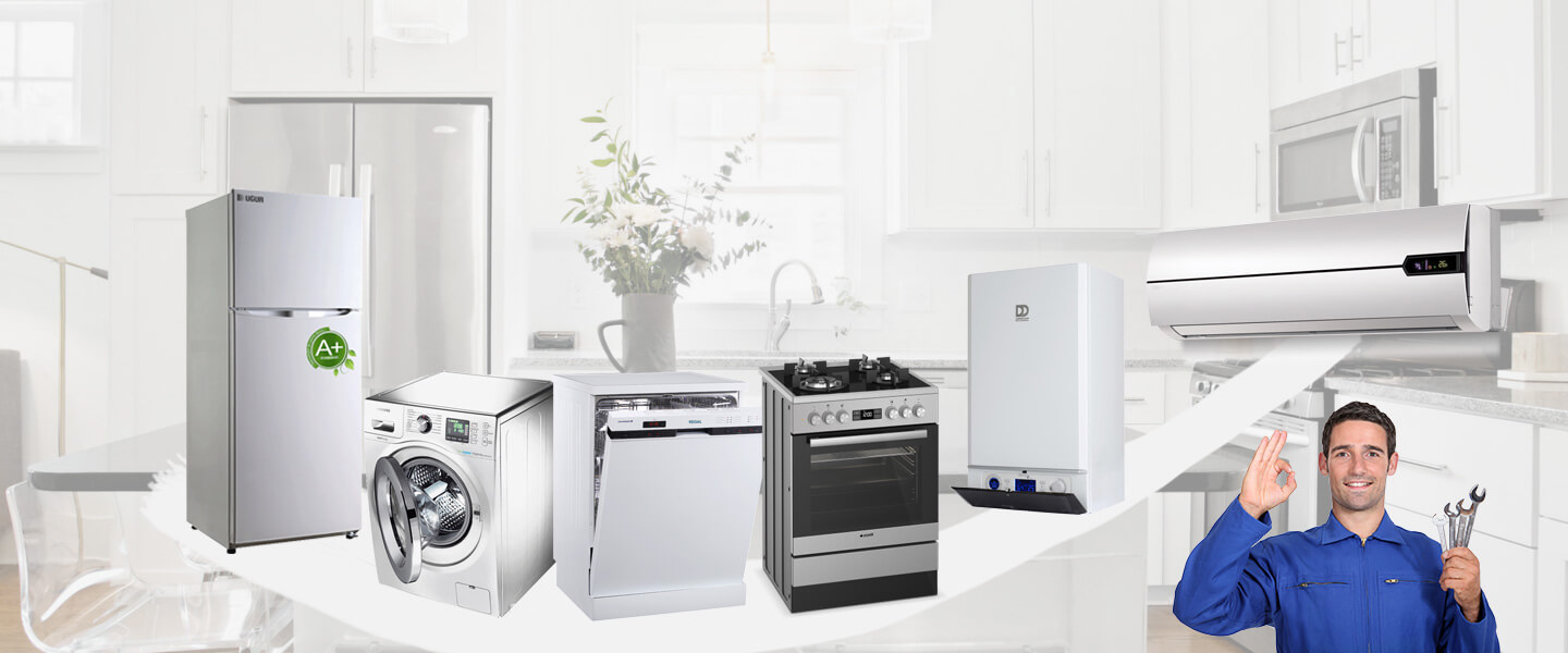 Çine Warmhaus Servisi